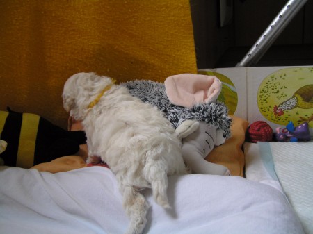 ...a kde že má konec?